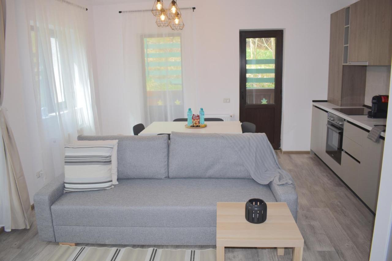 Cosy&Minimalistic Apartments - Haret Building Sinaia Exterior foto